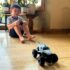 8 Best Dollhouses for Young Children in 2026